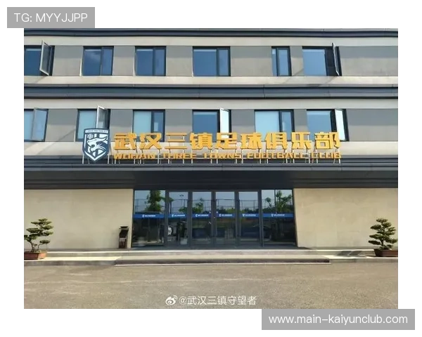 武汉三镇短距离传递非常紧凑,压迫力十足